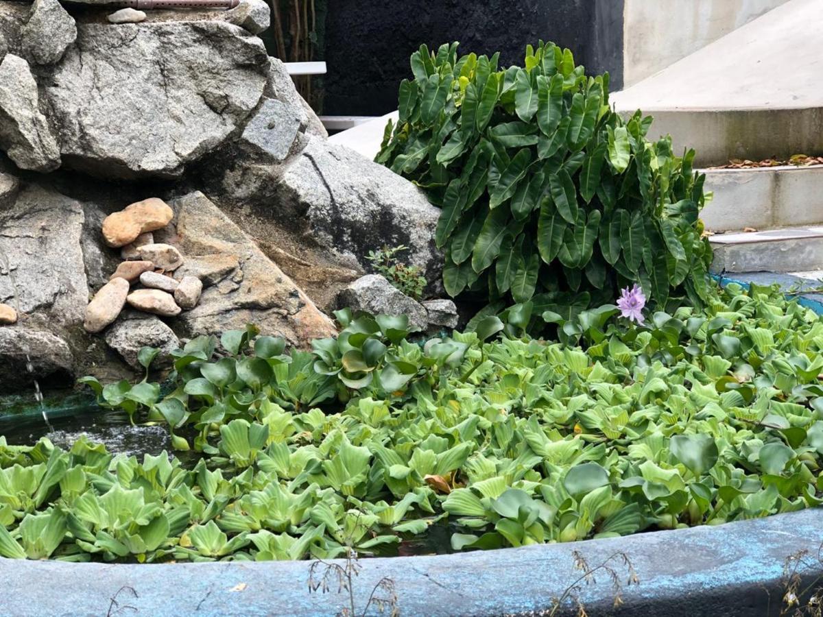 Pousada Tubarão Porto Seguro Bagian luar foto